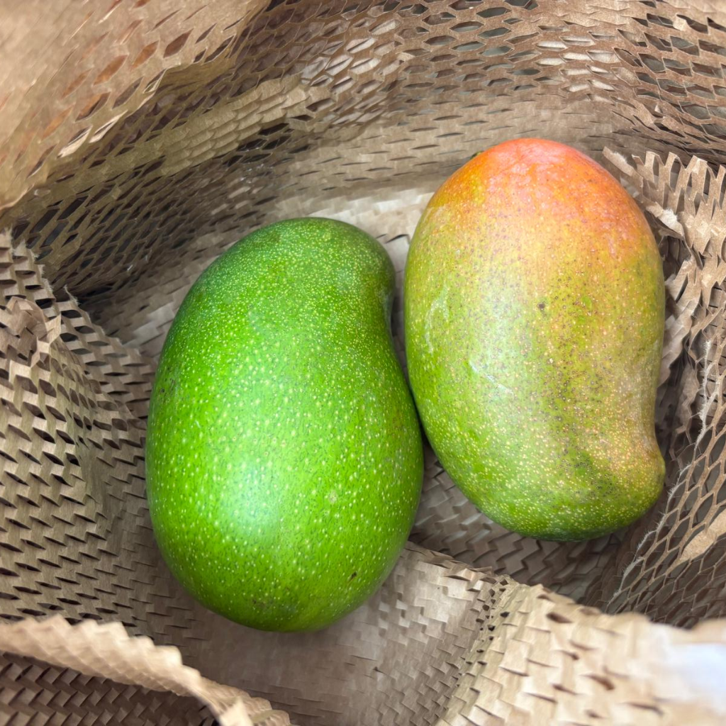 Jamaican East Indian Mangoes (0.9 - 1kg Approx)