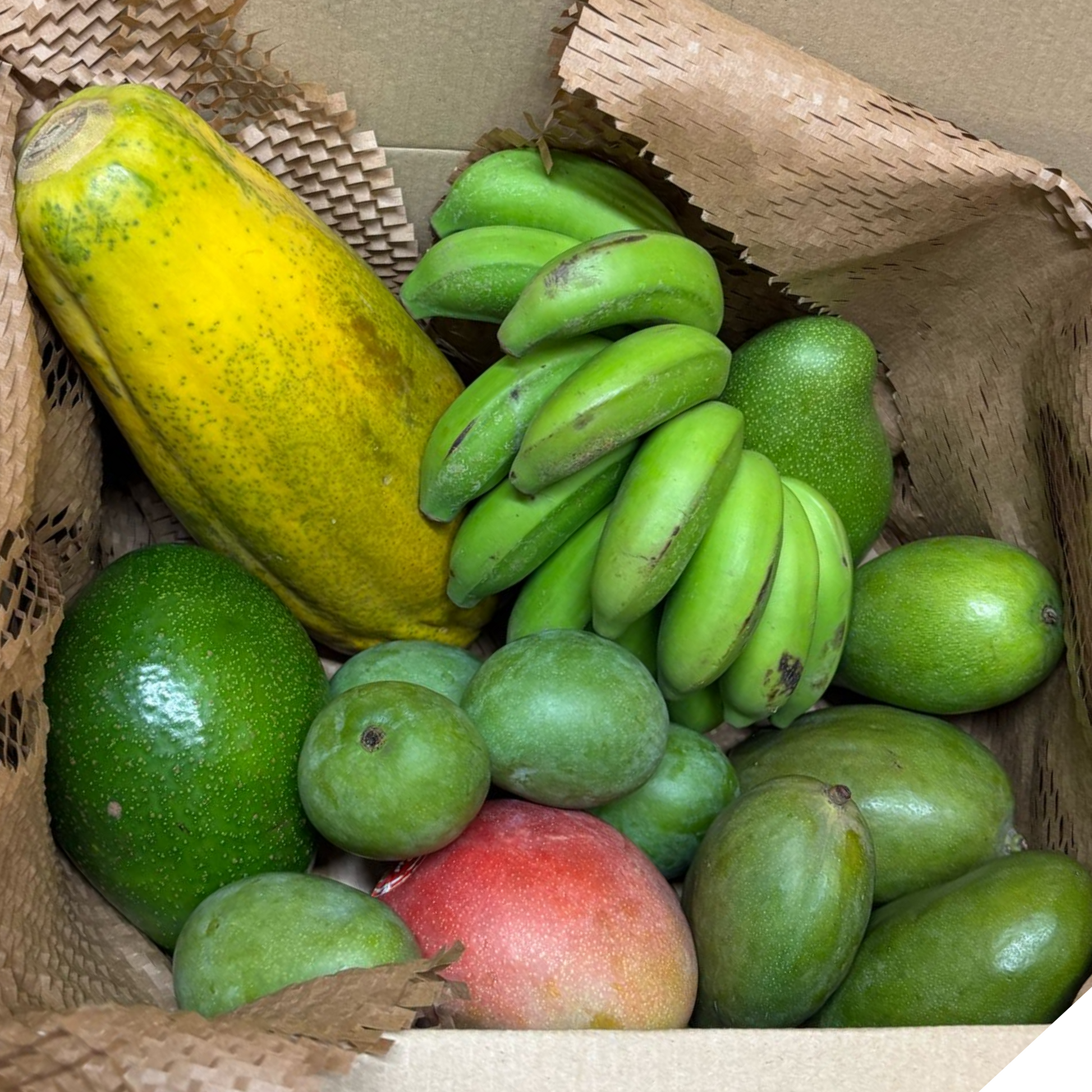Mixed Fruit Box 1 (Avocado, Mango, Banana & Papaya)