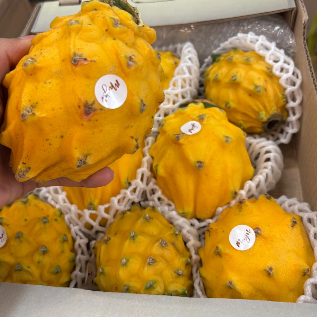 Colombian Yellow Dragon Fruit (Pitahaya/Pitaya) (Single)