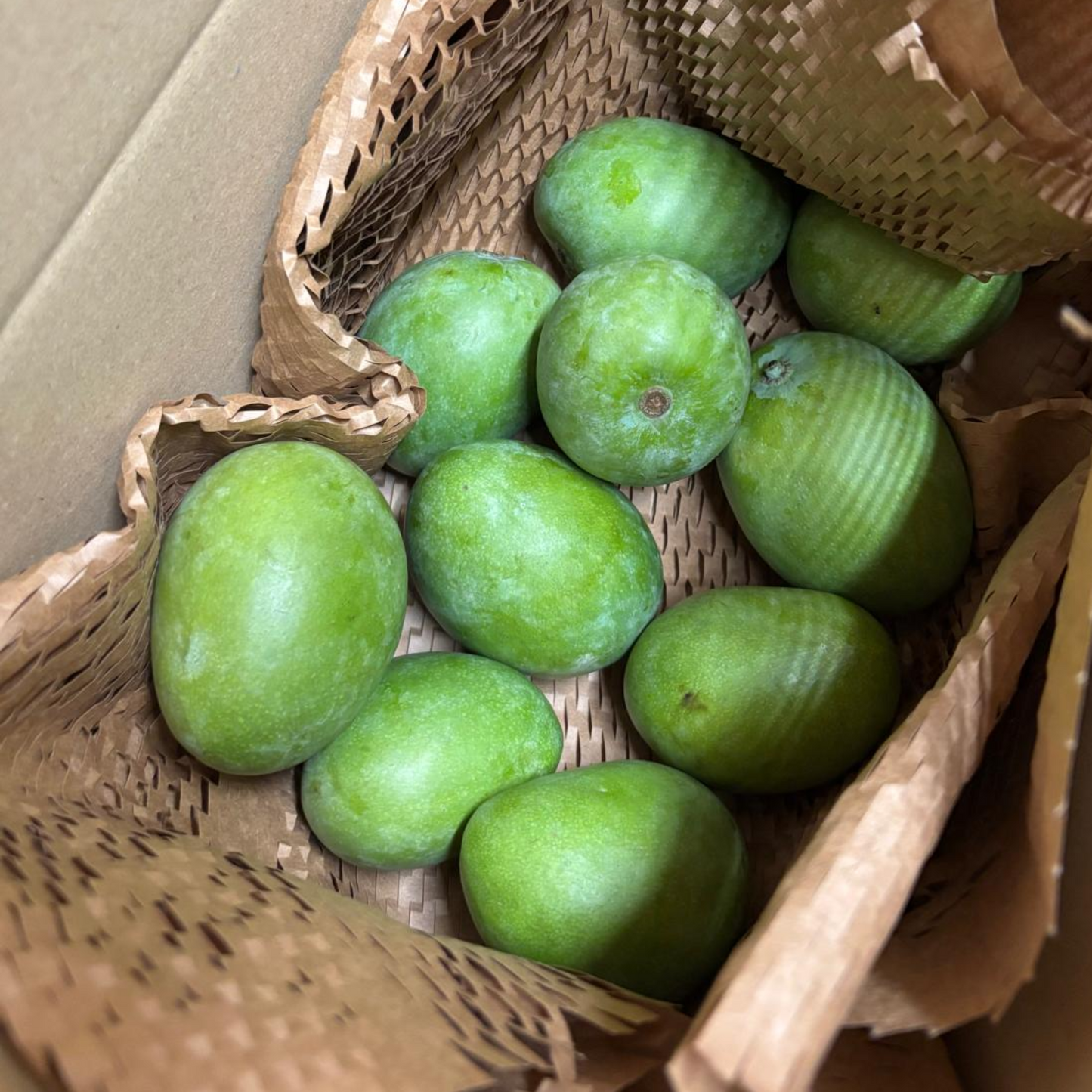 Jamaican Black Mangoes (1kg - 1.2kg Approx)