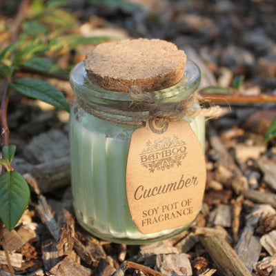 Cucumber Soy Pot of Fragrance Candle