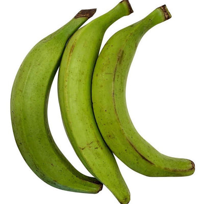 Fresh Green Plantains - 3 Pack