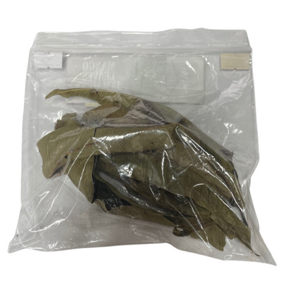 Mango Leaves Jamaican 5g