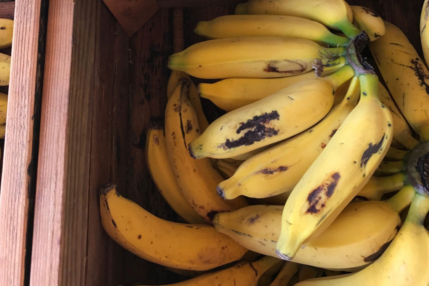 Apple/Bumpy Bananas 0.9kg - 1kg
