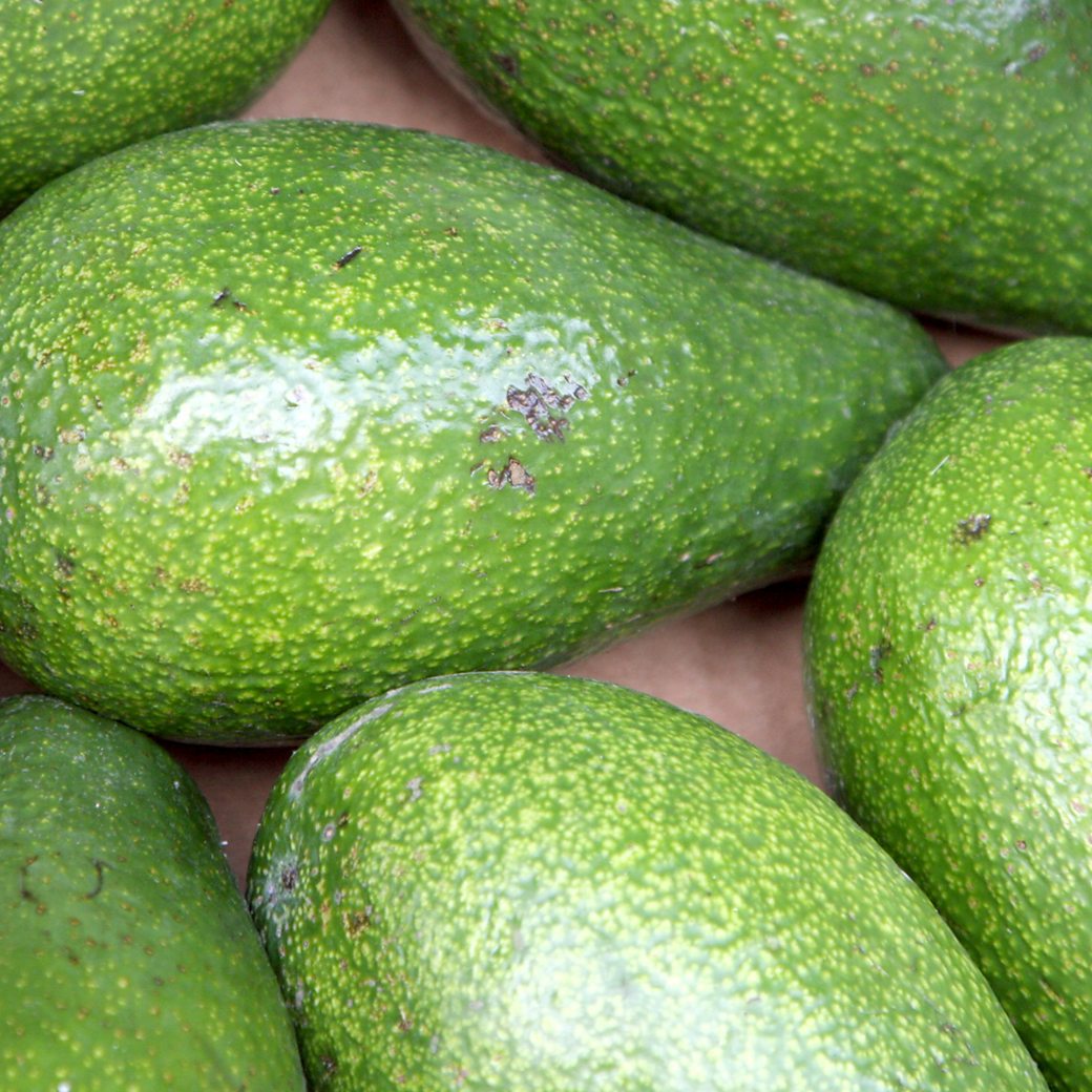 Ugandan Avocado 300g - 400g Approx