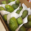 St Lucian Soursop (Graviola)