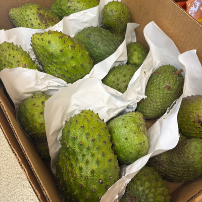 St Lucian Soursop (Graviola)