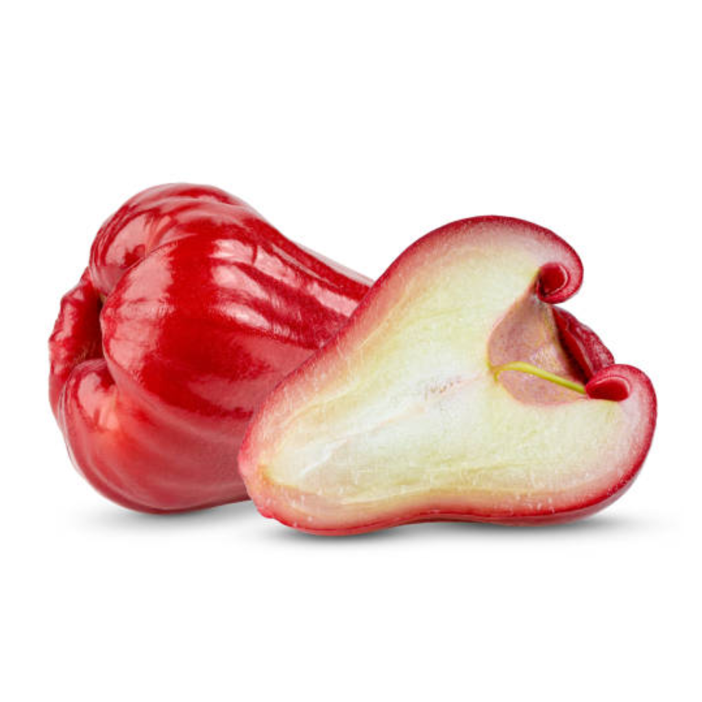 Thai Rose Red Java Apple (Eugenia Javanica Lam) (Single) – Riley's ...