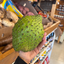 St Lucian Soursop (Graviola) - Approx 950g - Listing F
