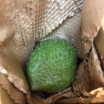 St Lucian Soursop (Graviola) - Approx 580g - Listing G
