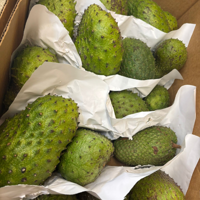 St Lucian Soursop (Graviola)