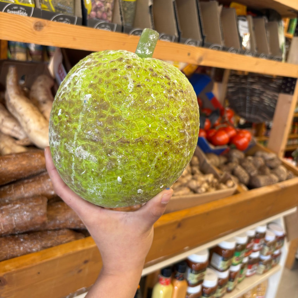 St Lucian Breadfruit - 1.5kg - Listing C
