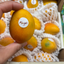Small Baby Columbian Mango (Single)
