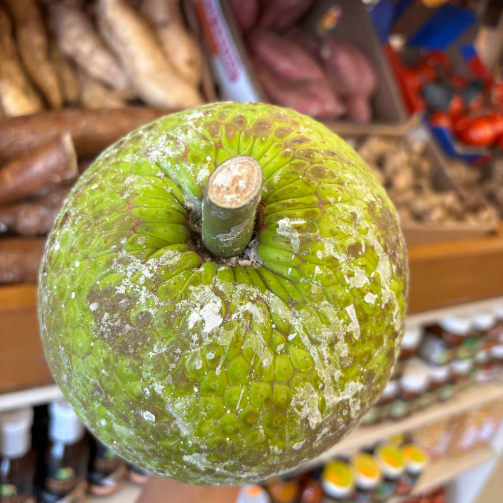 St Lucian Breadfruit - 1.5kg - Listing C