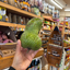 St Lucian Soursop (Graviola) - Approx 510g - Listing H