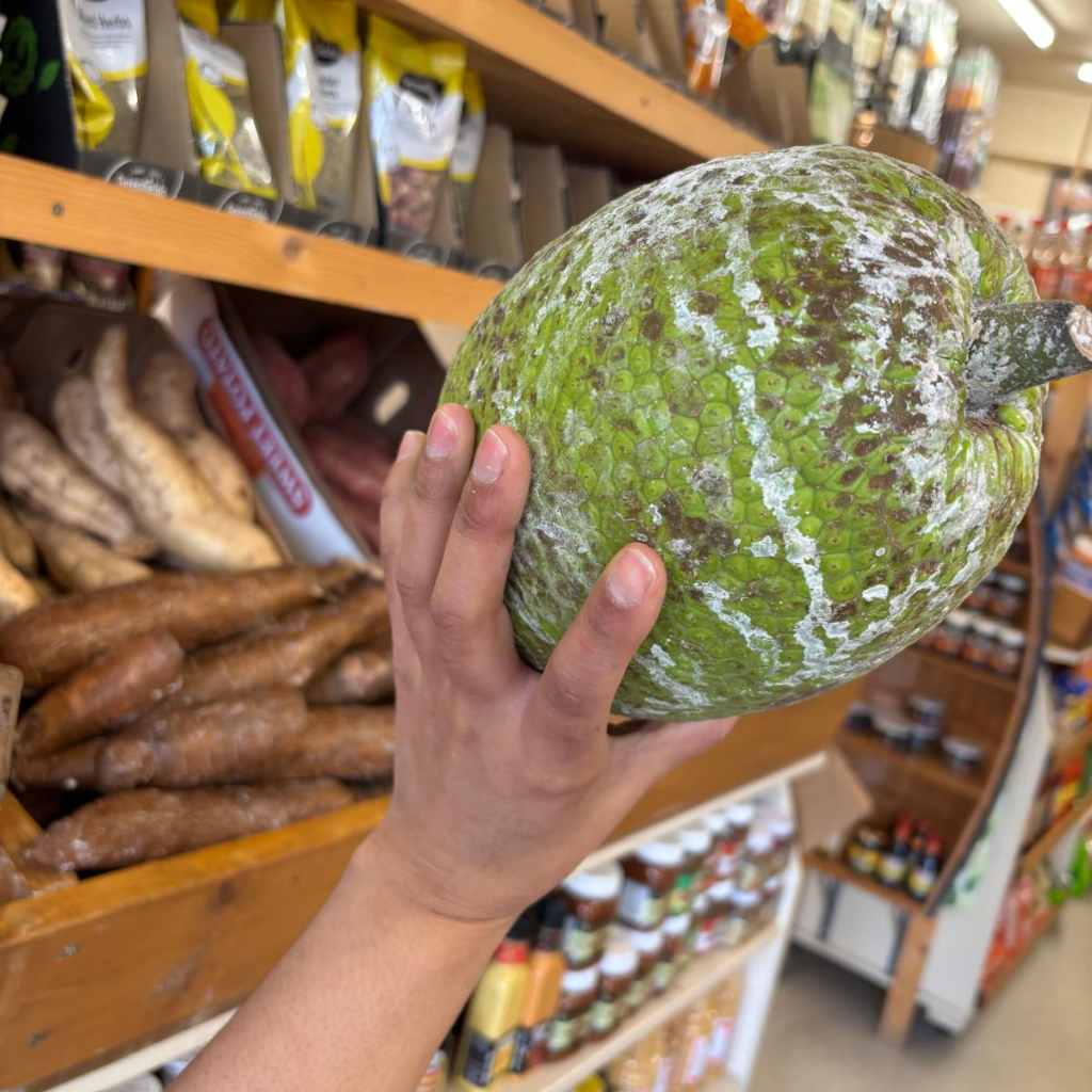 St Lucian Breadfruit - 1.9kg - Listing B