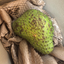 St Lucian Soursop (Graviola) - 700g - Listing 5