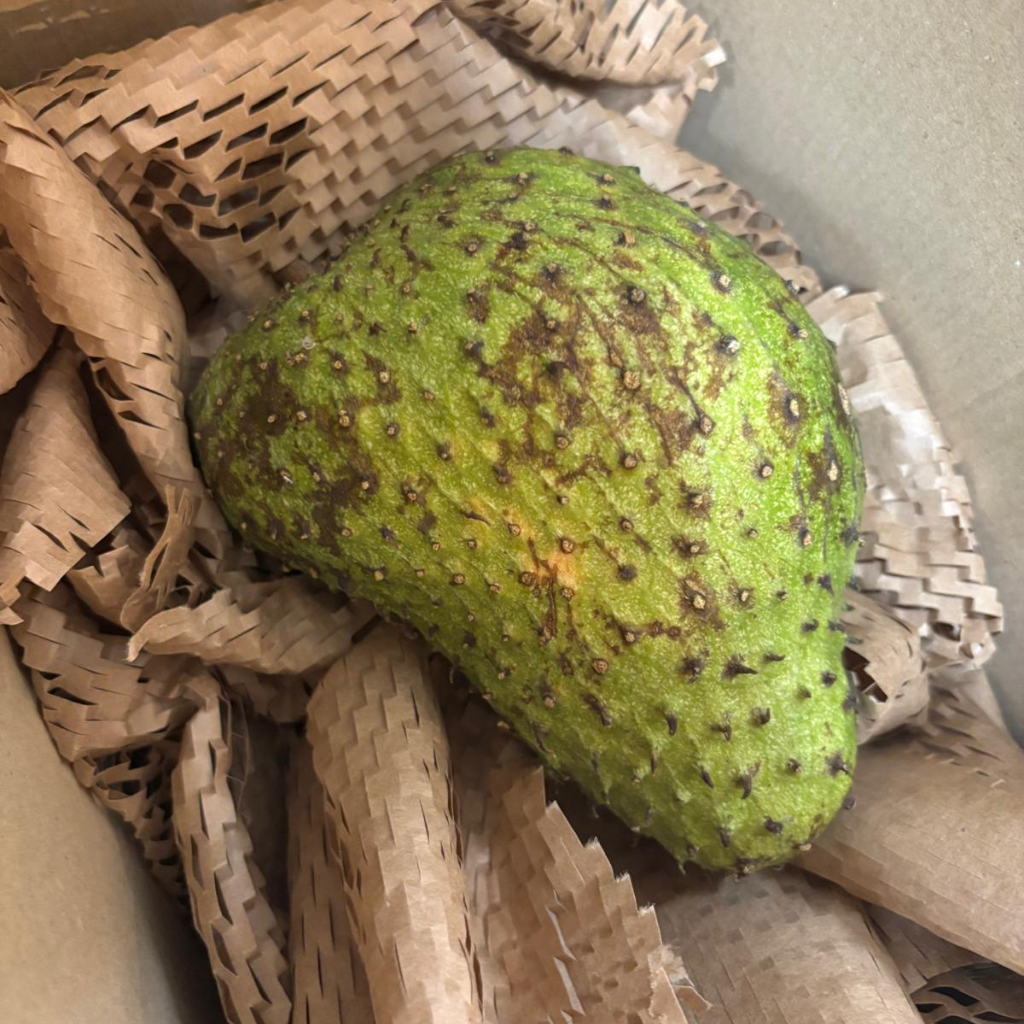 St Lucian Soursop (Graviola) - 700g - Listing 5