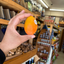 Small Baby Columbian Mango (Single)