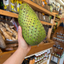 St Lucian Soursop (Graviola) - 1.5kg - Listing 1