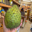 St Lucian Soursop (Graviola) - Approx 950g - Listing F