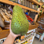 St Lucian Soursop (Graviola) - 1.5kg - Listing 1