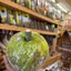 St Lucian Breadfruit - 1.5kg - Listing C