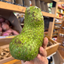 St Lucian Soursop (Graviola) - Approx 510g - Listing H