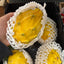 Ecuadorian Yellow Dragon Fruit (Pitahaya/Pitaya) (Single)