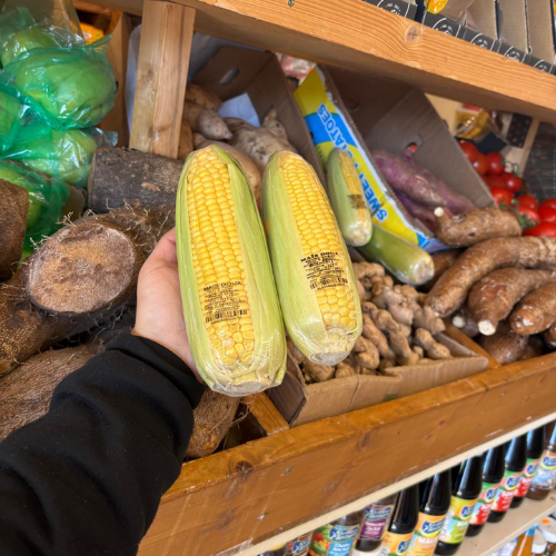Fresh Corn on the Cob (2 Pack)