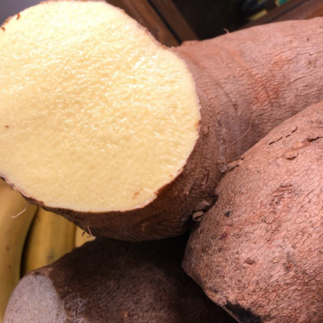 Jamaican Yellow Yam