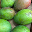 Brazilian Keitt Mango (Single)