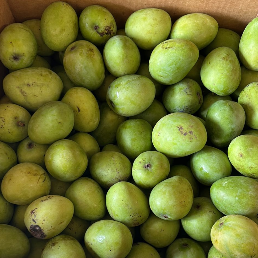 Jamaican Black Mangoes (1kg - 1.2kg Approx)