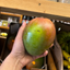 Brazilian Keitt Mango (Single)