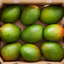 Brazilian Keitt Mango (Single)