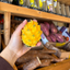 Ecuadorian Mini Yellow Dragon Fruit (Pitahaya/Pitaya) (Single)