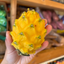 Ecuadorian Mini Yellow Dragon Fruit (Pitahaya/Pitaya) (Single)