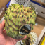 Large Brazilian Sugar Apple/Sweetsop (Single)