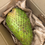 St Lucian Soursop (Graviola) - 1.5kg - Listing 1