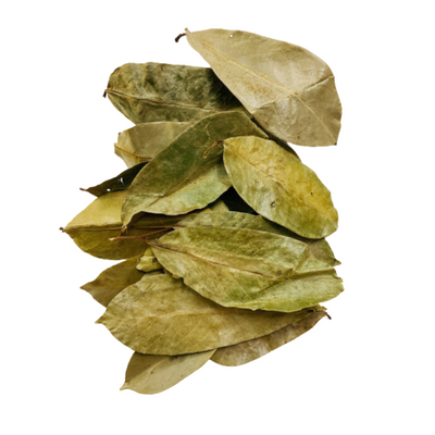 Dried Soursop Leaves 10g