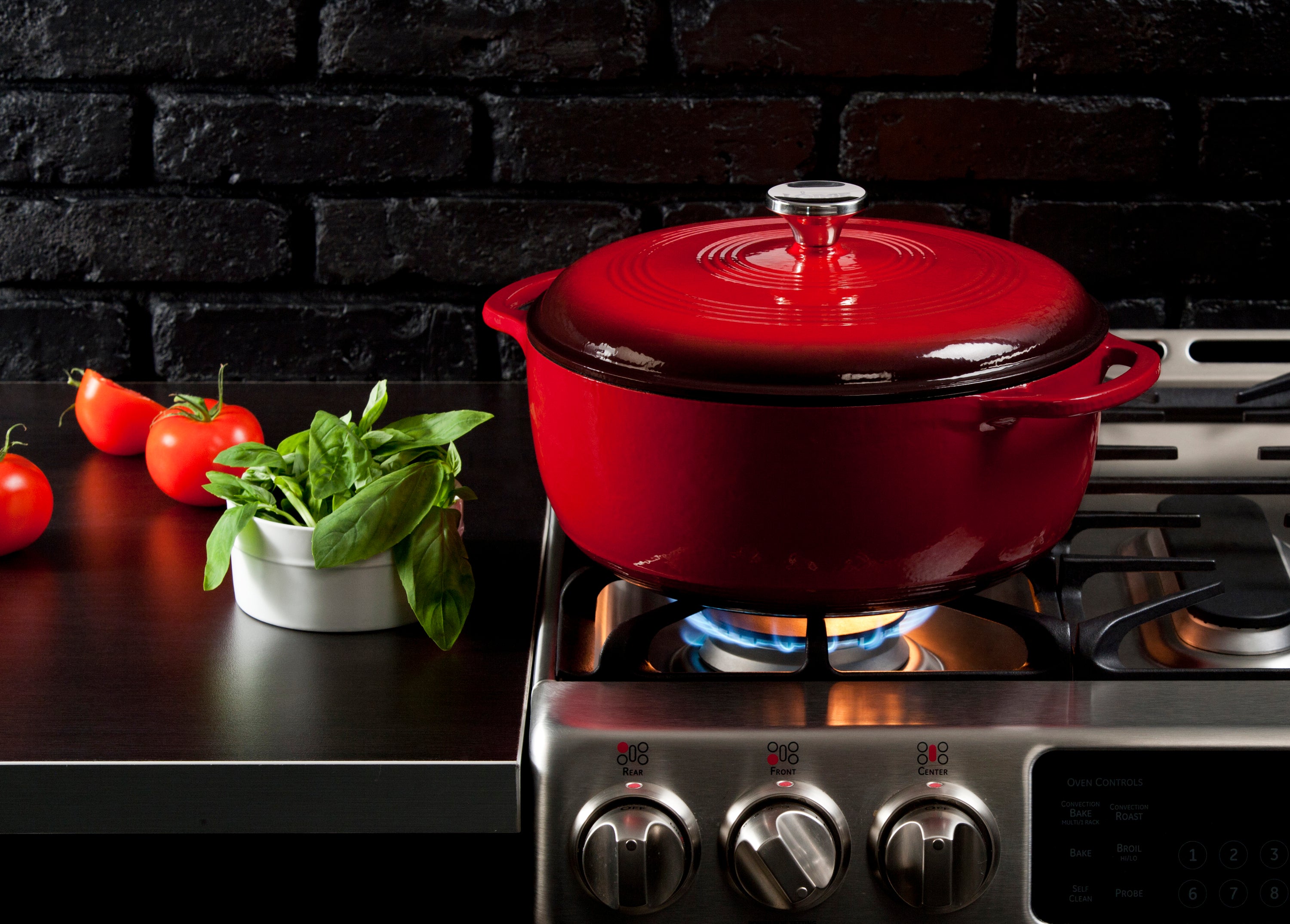 Lodge Enamel Cast Iron Red Dutch Oven 7.5 Quart 7.1 Litre