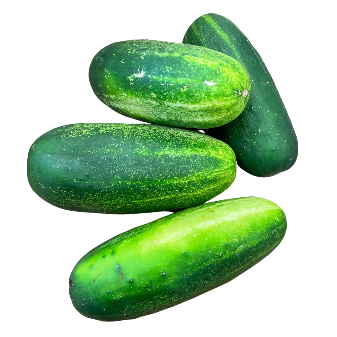 Jamaican Seeded Cucumbers 500-600g Approx