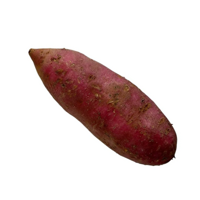 Jamaican Sweet Potato 0.9-1kg Approx