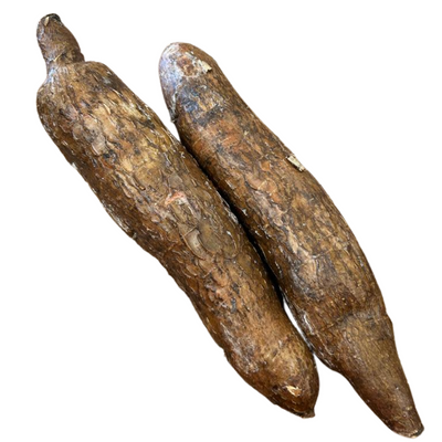 Cassava (Yuca) 1 - 1.2kg