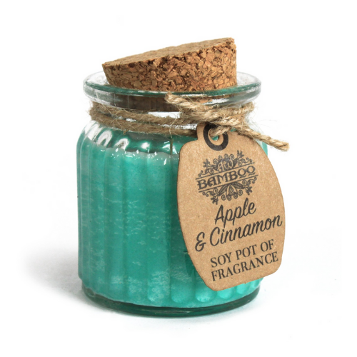 Apple & Cinnamon Soy Pot of Fragrance Candle