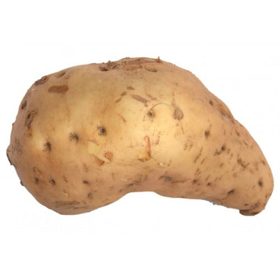 Ugandan White Sweet Potato 0.9-1kg Approx