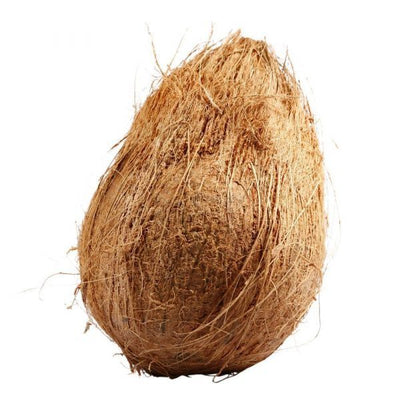 Fresh Coconut (Single)