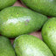 Large Ugandan Avocado (Single)